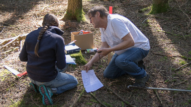 Relevés sur une placette IBP - Photo Philippe Gaudry ? CNPF