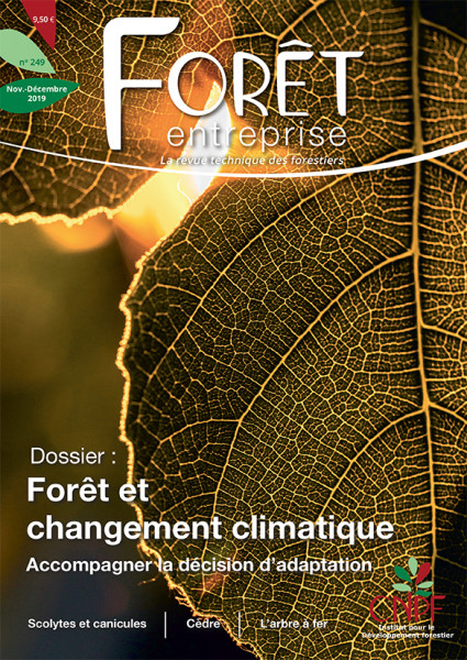 Forêt-entreprise n°249