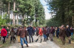 Journées nationales des groupes de progrès 2022 en Argonne - Photo Aurélien Perret ? CNPF