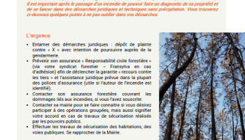 Que faire après un incendie ? Fiche conseil CNPF