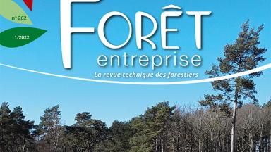 Forêt-entreprise n°262