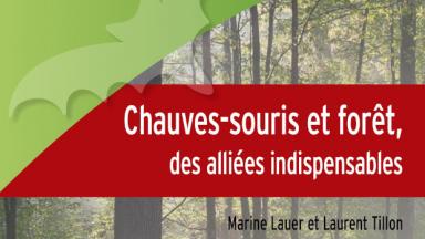 Chauves-souris et forêt, des alliées indispensables