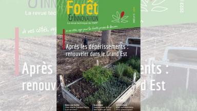 Forêt & Innovation n°2