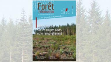 Forêt & Innovation n°4