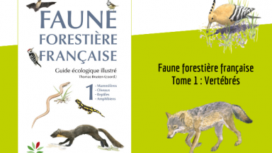 Faune forestière fran?aise - Tome 1