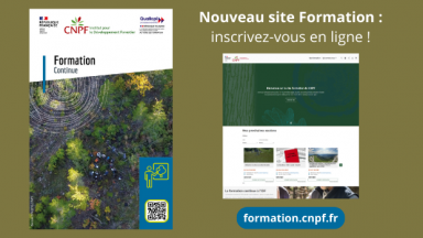 Les formations de l'IDF