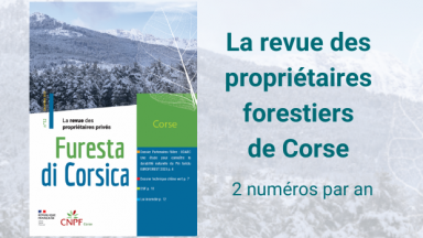 Furesta di Corsica n°12