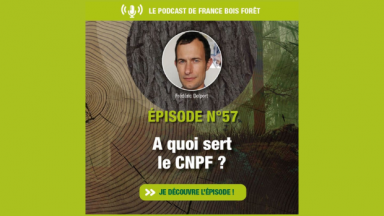 Podcast - A quoi sert le CNPF ? avec Frédéric Delport