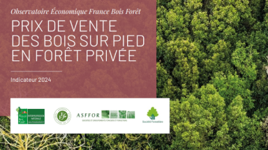 Indicateur 2024 des prix de vente des bois sur pied en forêt privée