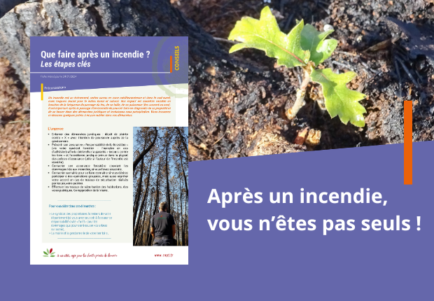 Que faire après un incendie ? Fiche conseil CNPF