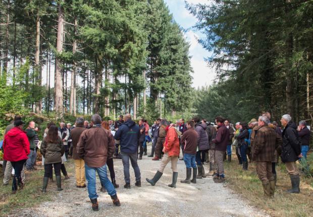 Journées nationales des groupes de progrès 2022 en Argonne - Photo Aurélien Perret ? CNPF