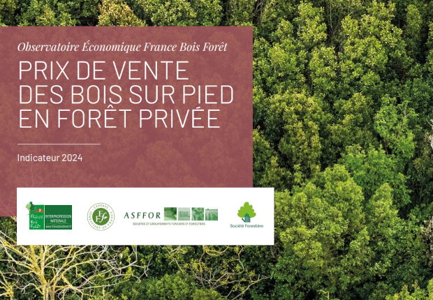 Indicateur 2024 des prix de vente des bois sur pied en forêt privée