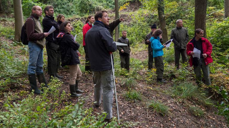 Observation en forêt des critères de l'IBP. Photo Etienne Beraud ? CNPF