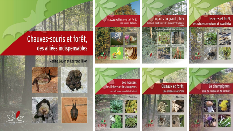 Collection Les guides H?tes de la forêt